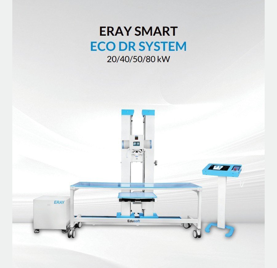 Eray Smart Eco DR system