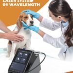 AR Photoniccs 4-Wavelength Class IV Veterinary Diode Laser System