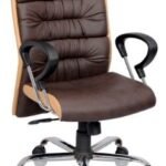 Doctors Chair Medium Back (Medasus A5007)