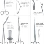Towel And Instrument Holding Forceps/ Clips